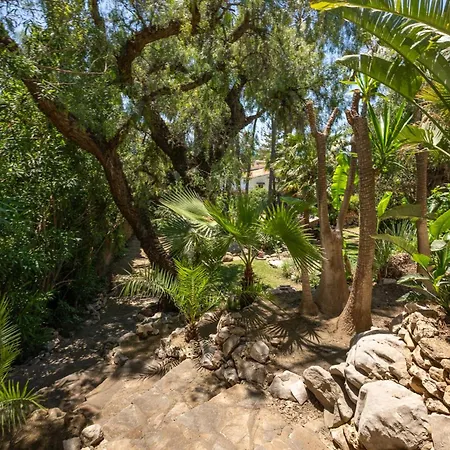Exceptional In Chapas With Breathtaking Panoramic Views!